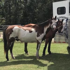 Meet your Posher, Bernadette